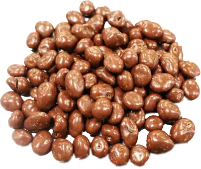Chocolate raisins