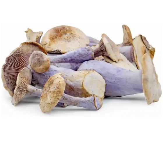Verse pied blue 2 kg