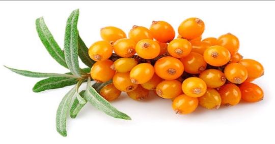 Duindoornbes 500 gr DIEPVRIES