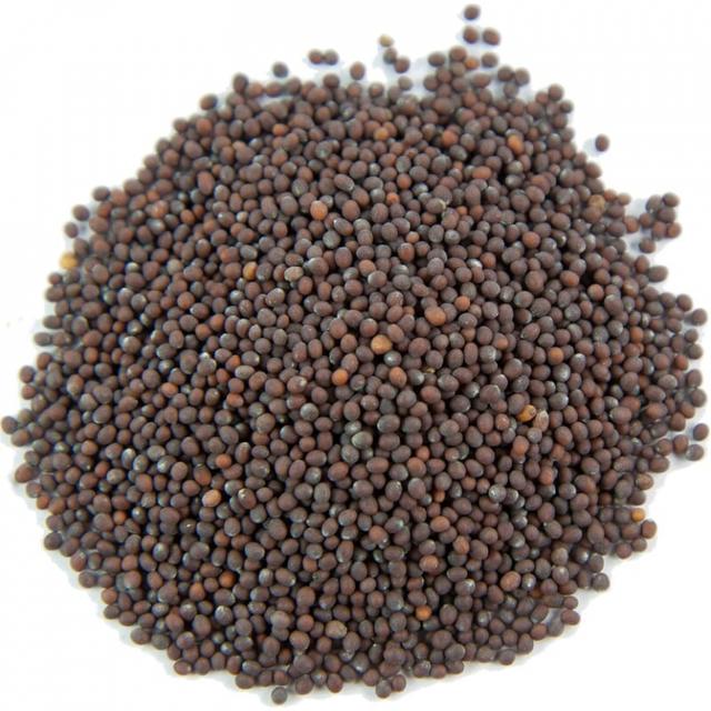 Bruin mosterdzaad eco 500gr