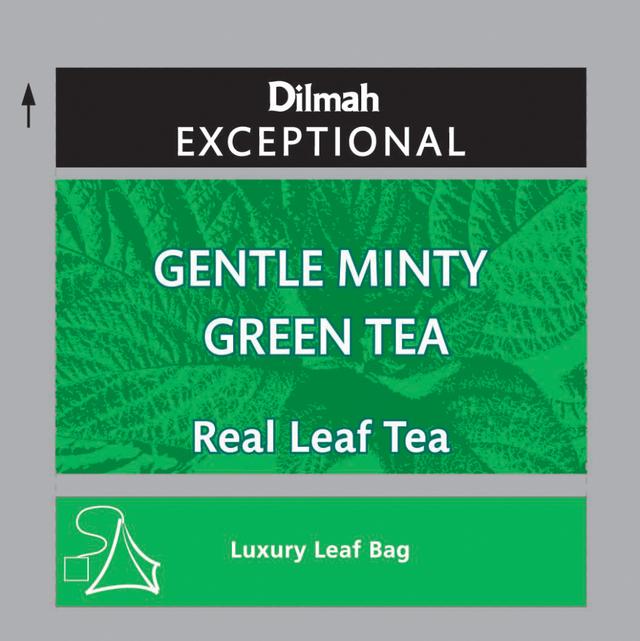 Gentle Minty Green | 50 sachets | Exceptional