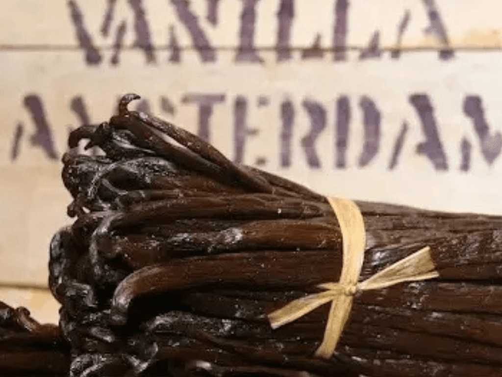 Bourbon Vanille - nieuwe oogst, extra lang gerijpt!