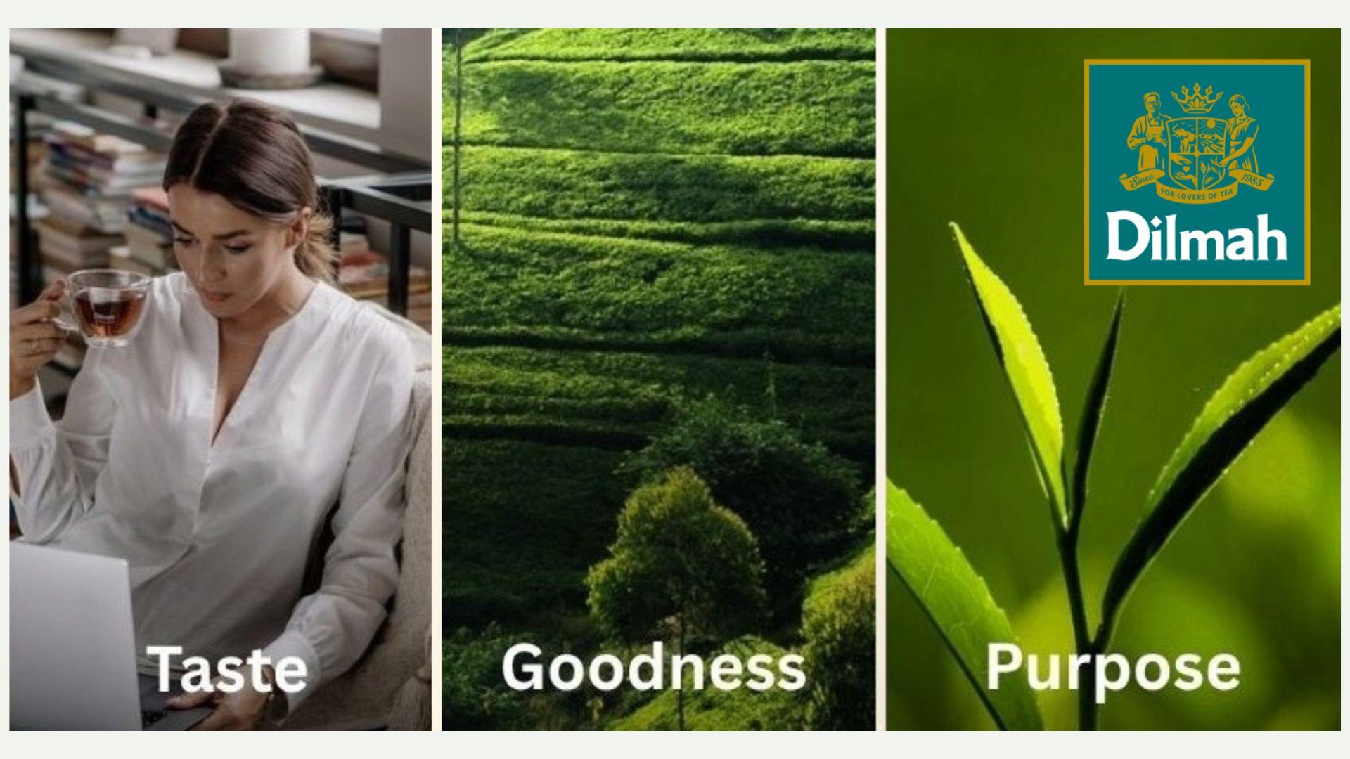 Dilmah Tea: pure Ceylon thee uit Sri Lanka