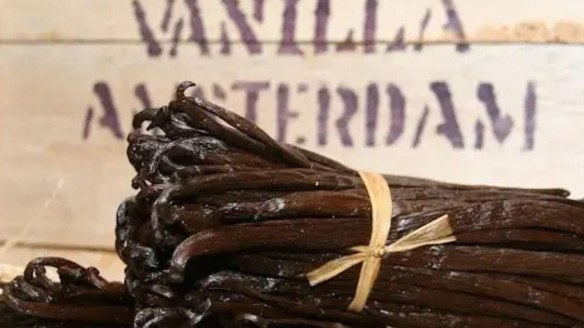 Bourbon Vanille: nieuwe oogst, extra lang gerijpt!