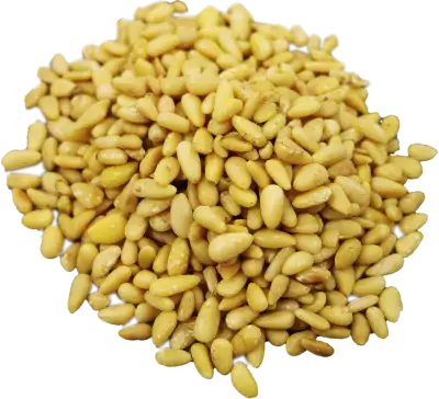 Pinenut kernels China, MEDIUM