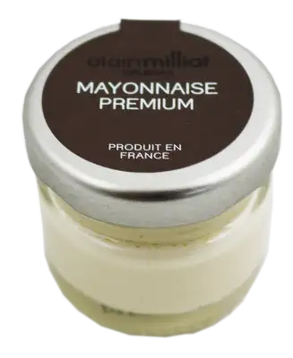 Mayonaise Alain Milliat (72x23g)