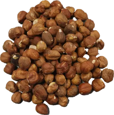 Hazelnuts brown raw
