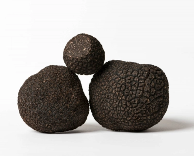 Bevroren wintertruffel