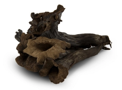 Verse Trompette de la mort