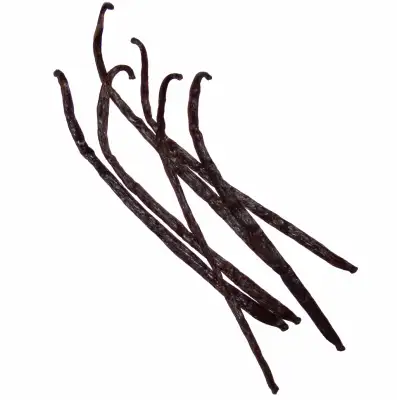 Planifolia vanillestokjes