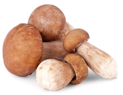 Bevroren cepes Bouchons