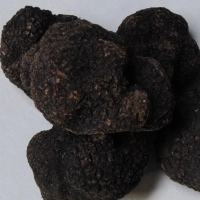 Bevroren wintertruffel extra