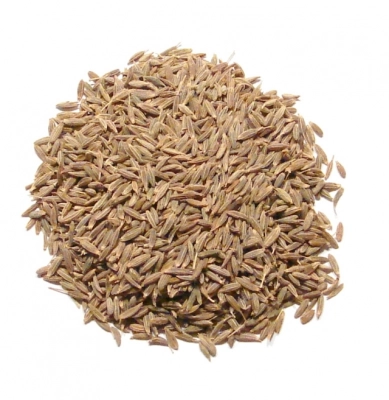 Komijnzaad eco
